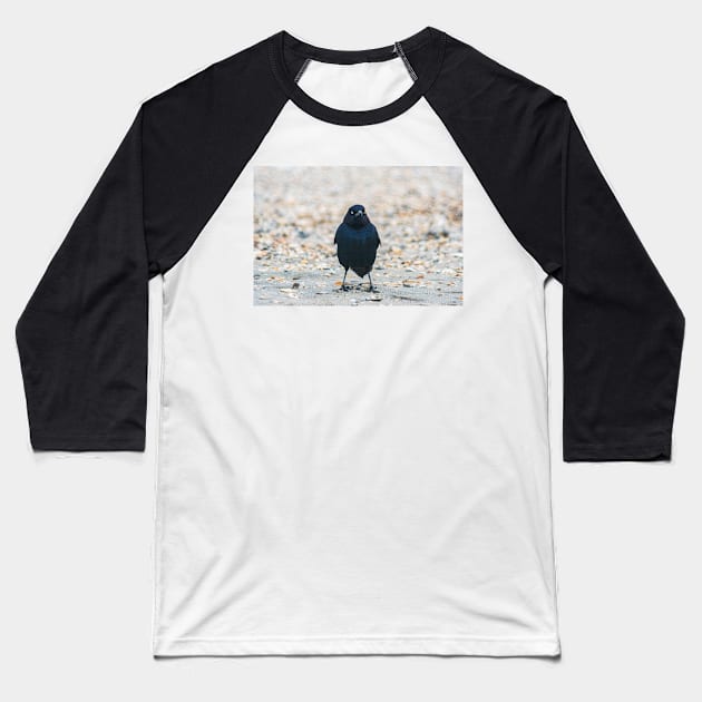 Boat-tailed Grackle at Beach Baseball T-Shirt by KensLensDesigns